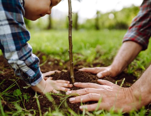 Memorial Ideas to Celebrate a Life Well Lived